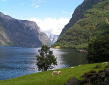 Nordeuropa, Norwegen: Norwegen i hytta - Seeblick